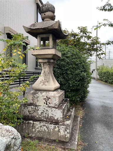 f:id:kamemochi:20241107234403j:image f:id:kamemochi:20241107234403j:image