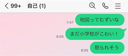 f:id:kamemochi:20241111163438j:image
