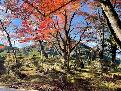 f:id:kamemochi:20241229090148j:image