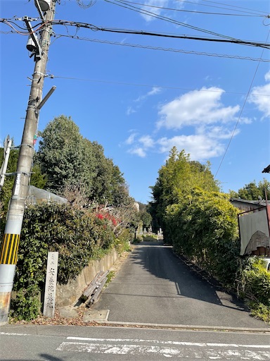 f:id:kamemochi:20241229094652j:image