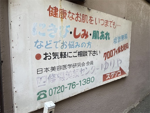 f:id:kamemochi:20250106193221j:image