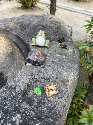 f:id:kamemochi:20250106193225j:image