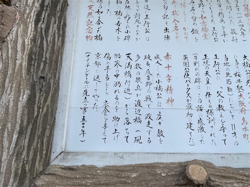 f:id:kamemochi:20250106193238j:image