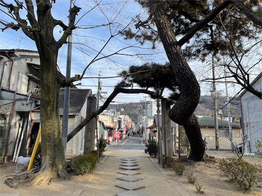 f:id:kamemochi:20250106193247j:image