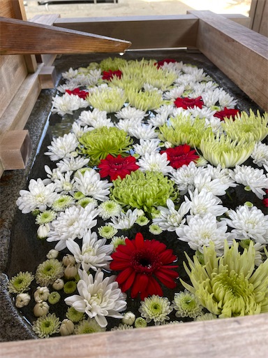 f:id:kamemochi:20250106193251j:image