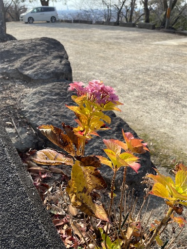 f:id:kamemochi:20250106193302j:image