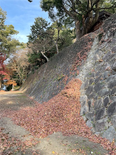 f:id:kamemochi:20250106193409j:image