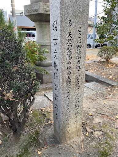 f:id:kamemochi:20250106200136j:image