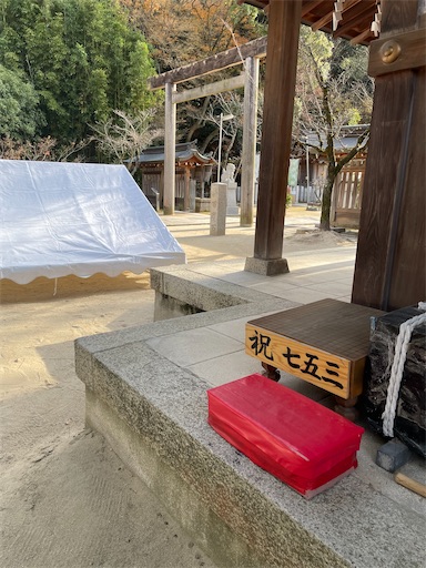 f:id:kamemochi:20250106200158j:image