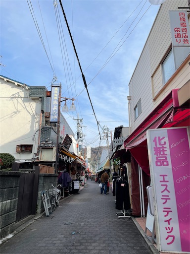 f:id:kamemochi:20250106200208j:image