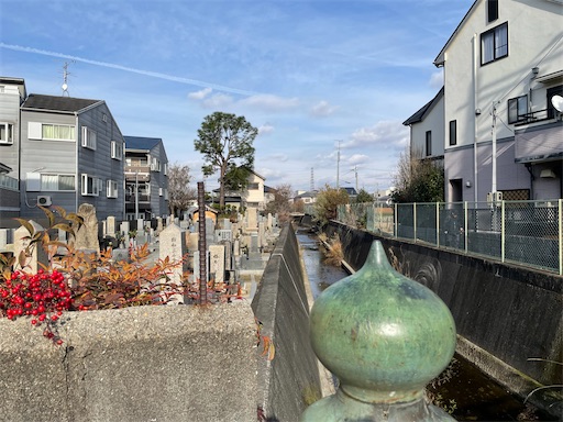 f:id:kamemochi:20250107183650j:image