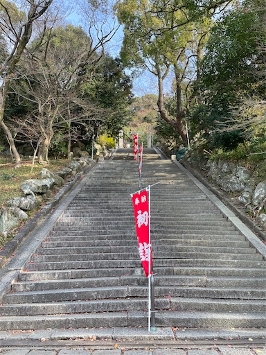 f:id:kamemochi:20250107183653j:image