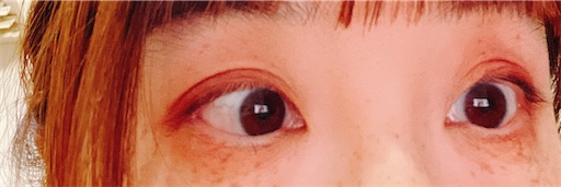 f:id:kamemochi:20250116222821j:image