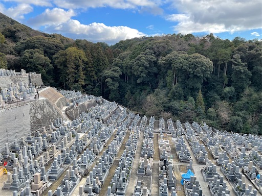 f:id:kamemochi:20250203224111j:image
