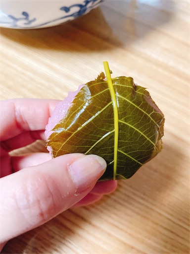 f:id:kamemochi:20250412195551j:image f:id:kamemochi:20250412195551j:image