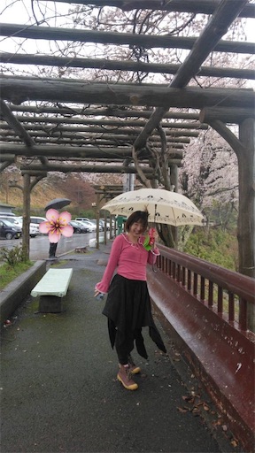 f:id:kamemochi:20250416085449j:image f:id:kamemochi:20250416085449j:image