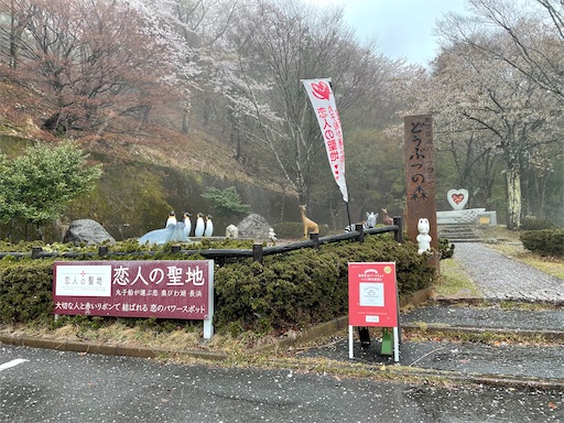 f:id:kamemochi:20250416085458j:image f:id:kamemochi:20250416085458j:image