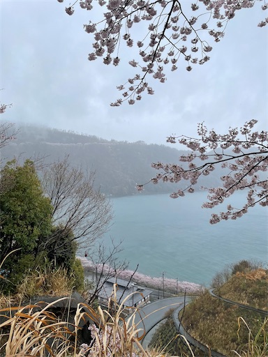 f:id:kamemochi:20250416085802j:image f:id:kamemochi:20250416085802j:image