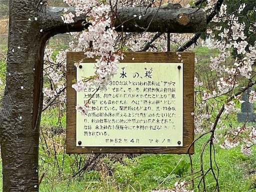 f:id:kamemochi:20250416090116j:image f:id:kamemochi:20250416090116j:image