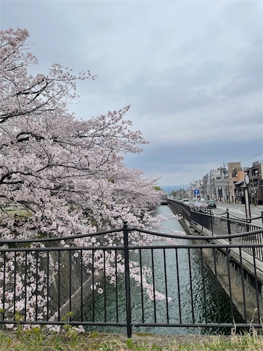 f:id:kamemochi:20250416090833j:image