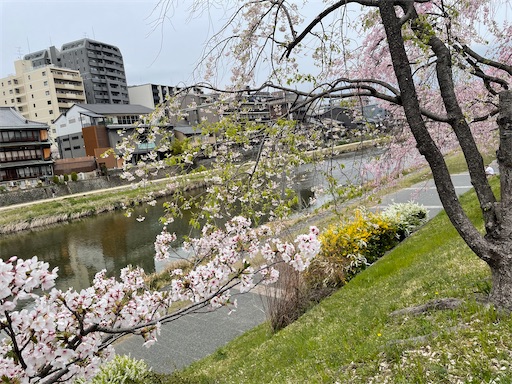 f:id:kamemochi:20250416090848j:image