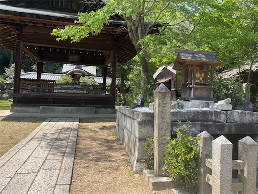 f:id:kamemochi:20250501070710j:image