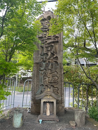 f:id:kamemochi:20250512222911j:image