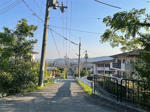 f:id:kamemochi:20250512222940j:image
