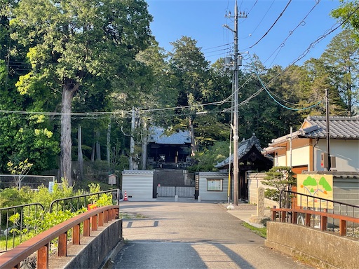 f:id:kamemochi:20250512222947j:image