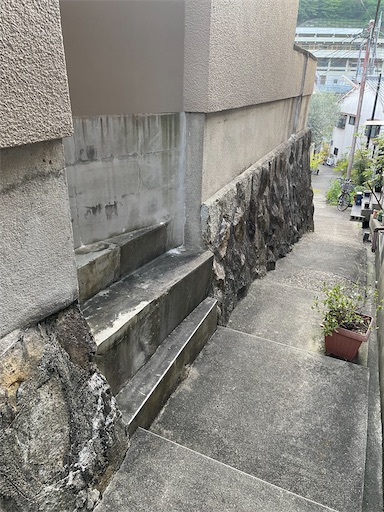 f:id:kamemochi:20250512222959j:image