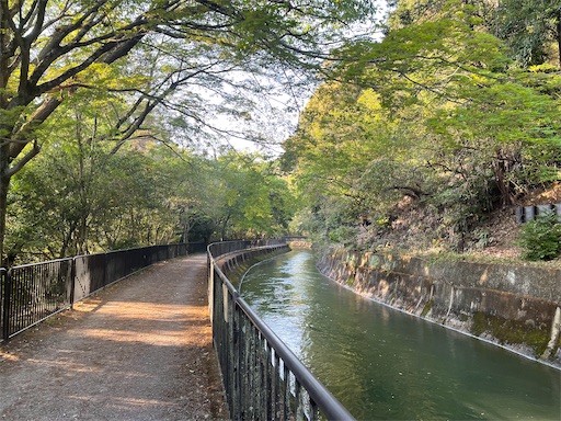 f:id:kamemochi:20250512223003j:image
