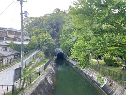 f:id:kamemochi:20250512230405j:image