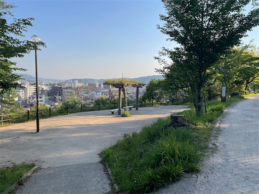 f:id:kamemochi:20250512230409j:image