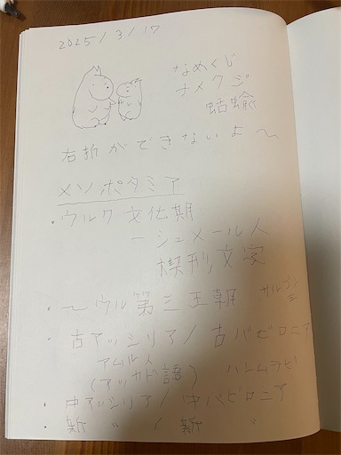 f:id:kamemochi:20250623002902j:image f:id:kamemochi:20250623002902j:image