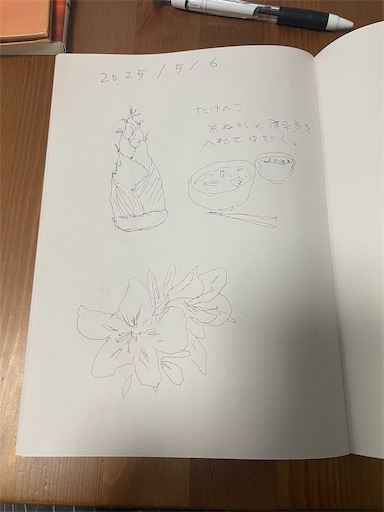 f:id:kamemochi:20250623002933j:image f:id:kamemochi:20250623002933j:image