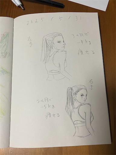 f:id:kamemochi:20250623002946j:image f:id:kamemochi:20250623002946j:image