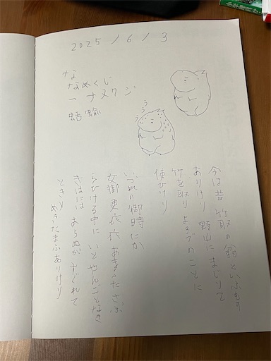 f:id:kamemochi:20250623005308j:image f:id:kamemochi:20250623005308j:image