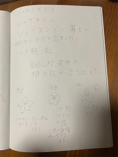 f:id:kamemochi:20250623005311j:image f:id:kamemochi:20250623005311j:image