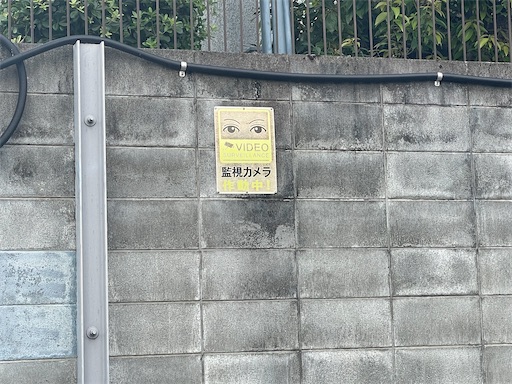 f:id:kamemochi:20250819150906j:image