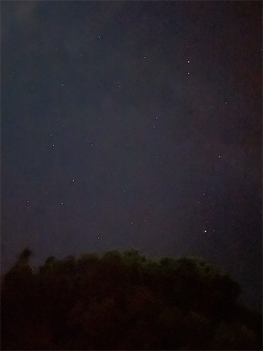 f:id:kamemochi:20250824093845j:image