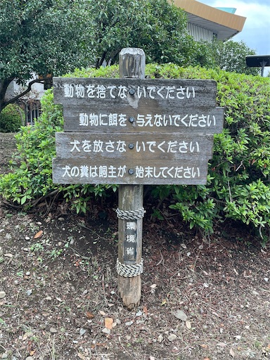 f:id:kamemochi:20250929010404j:image f:id:kamemochi:20250929010404j:image