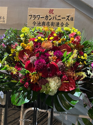 f:id:kamemochi:20251002001101j:image f:id:kamemochi:20251002001101j:image