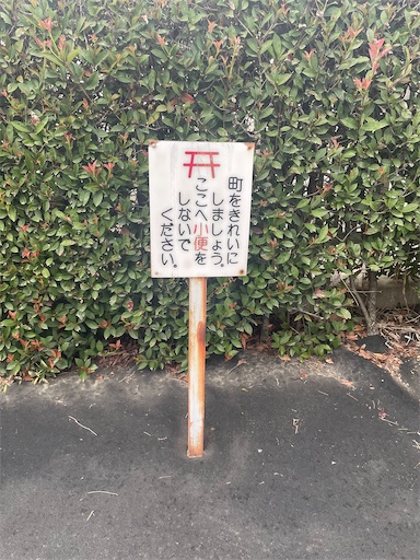 f:id:kamemochi:20251009114821j:image f:id:kamemochi:20251009114821j:image