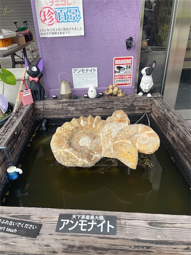 f:id:kamemochi:20251009115010j:image