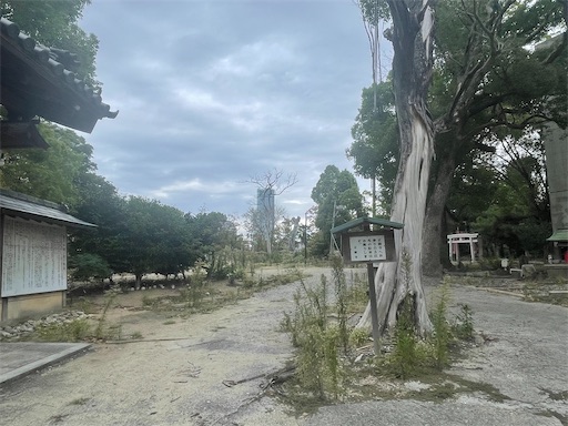f:id:kamemochi:20251009115157j:image