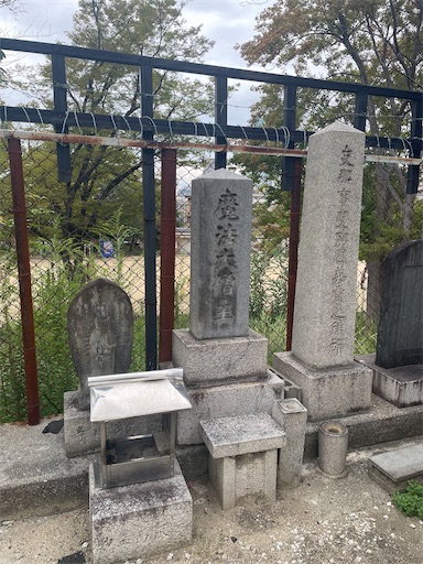 f:id:kamemochi:20251009115206j:image