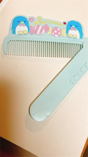 f:id:kamemochi:20260201194635j:image