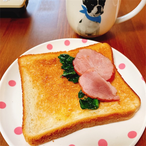 f:id:kamemochi:20260201200233j:image