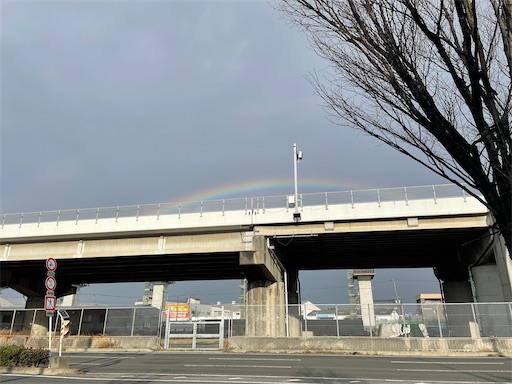 f:id:kamemochi:20260218142523j:image
