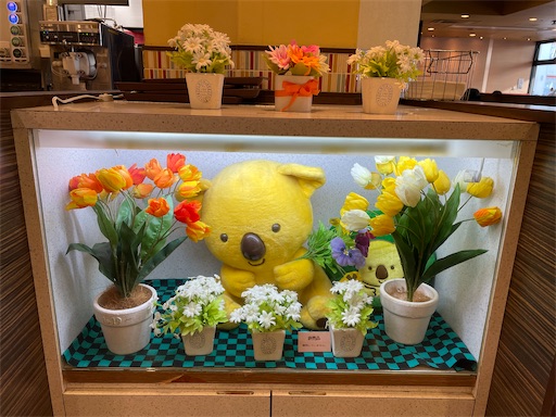 f:id:kamemochi:20260313165444j:image